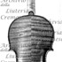 1698cViolinoL'Alouette c.jpg