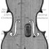 1704ViolinoBettsXR a.jpg