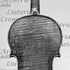 1708cViolino c.jpg