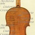 1708ViolinoSoil c.jpg