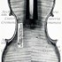 1709ViolinoLaPucelle c1.jpg