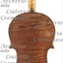 1709ViolinoViotti c.jpg