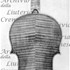 1713ViolinoRodewald c.jpg