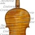 1713ViolinoSancy c1.jpg