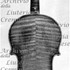 1714ViolinoMassart c.jpg