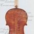 1714ViolinoSoil c.jpg