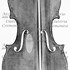 1714ViolinoSoil a1.jpg