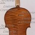 1715cViolino c.jpg