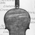 1717Violino c.jpg