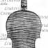 1717ViolinoRitter c.jpg