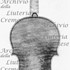 1717ViolinoRossignol c.jpg