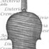 1717ViolinoSamazenihl c.jpg