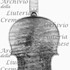 1718ViolinoMylnaski c.jpg