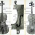 1719Viola MacDonald f1.jpg