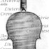 1721ViolinoIselin c1.jpg