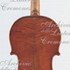 1721ViolinoLadyBlunt c.jpg