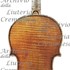 1723cViolinoFalk c.jpg