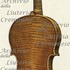 1723ViolinoCadiz c1.jpg