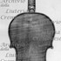 1724Violino c.jpg