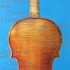 1726ViolinoSleepingBeauty c1.jpg