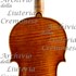 1728ViolinoPerkin c.jpg