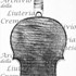 1729cViolinoMaurin c.jpg