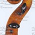 1732VioloncelloPleth d.jpg