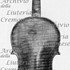 1733ViolinoHammerle c.jpg