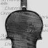 1740cViolino c.jpg