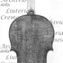 1740ViolinoGulino c.jpg