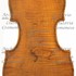 1755cViolinopiccolo c.jpg