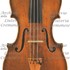 1770cViolino a1.jpg