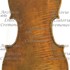 1786Violino c.jpg