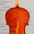 1804Viola c.jpg