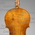 1810cViolino c.jpg