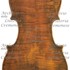 1811Violino c.jpg