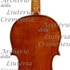 1814Violino c.jpg