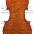 1979Violino c.jpg