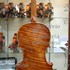 2009Violino c.jpg